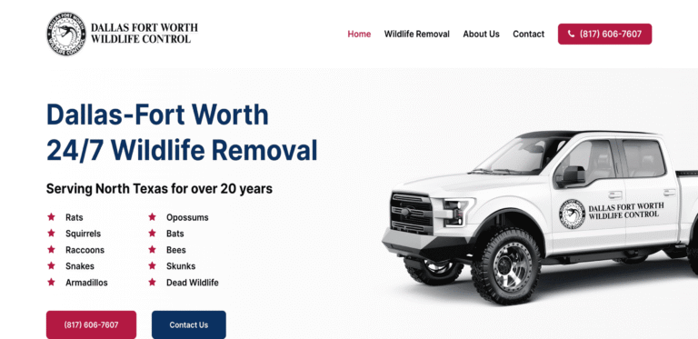 DFW Wildlife Control